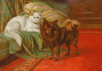 Kitty und Pip